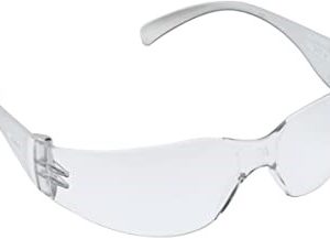 LENTES DE PROTECCION